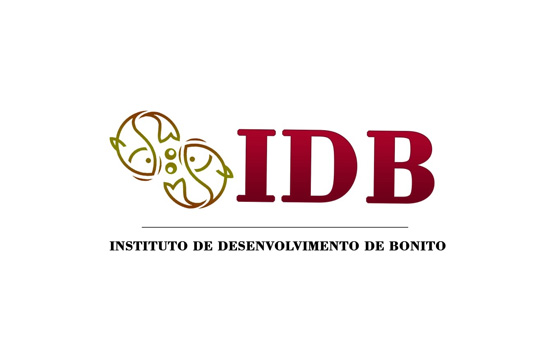 Logo IDB