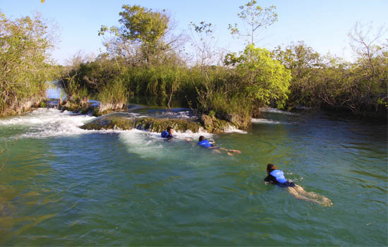 Parque Ecológico Rio Formoso - Cavalgada pode incluir mergulho no Formoso - Bonito MS Bonito Incomparável